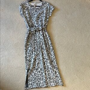 Aritizia Dolan Leopard Print Maxi Dress